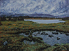Alpine Rain  Oil on Canvas,  12 x 16"